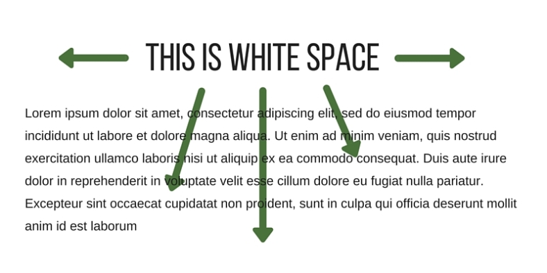 White-Space.jpg